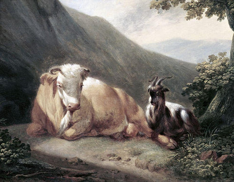 At Rest White Modern Wood Framed Art Print with Double Matting by Unknown