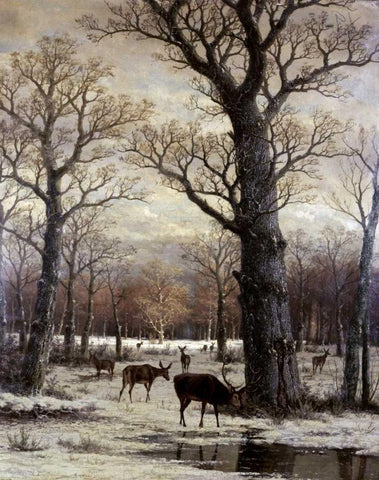 Deer Foraging, Winter White Modern Wood Framed Art Print with Double Matting by Unknown