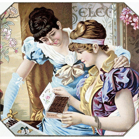 La Rosa Black Modern Wood Framed Art Print by Unknown