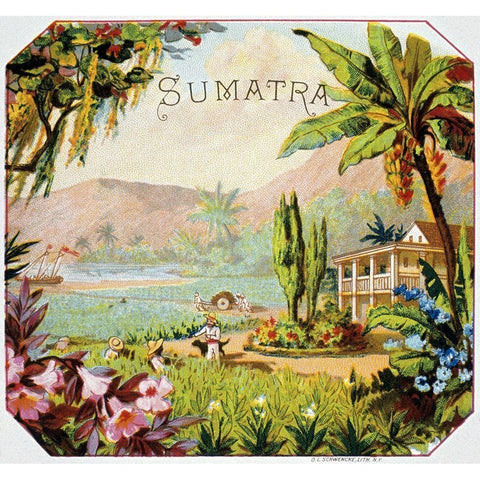 Sumatra Black Modern Wood Framed Art Print with Double Matting by Unknown