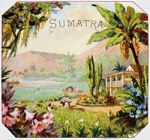 Sumatra Black Ornate Wood Framed Art Print with Double Matting by Unknown