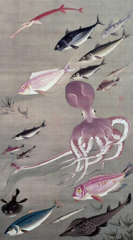 Under Water Life White Modern Wood Framed Art Print with Double Matting by Unknown