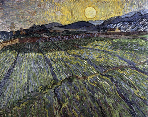 Enclosed Field with Rising Sun, Saint-Remy White Modern Wood Framed Art Print with Double Matting by Van Gogh, Vincent