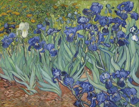 Irises, 1889 White Modern Wood Framed Art Print with Double Matting by Van Gogh, Vincent