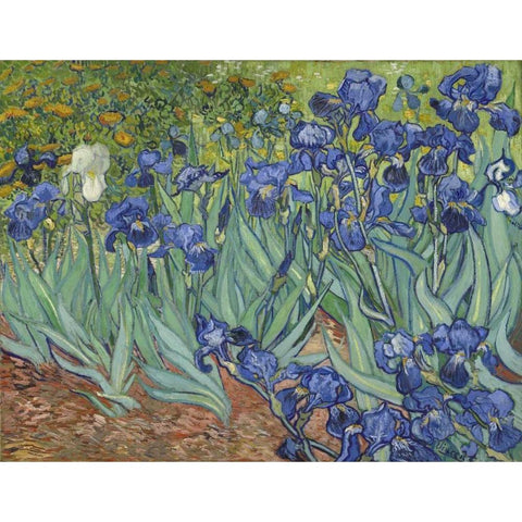 Irises, 1889 White Modern Wood Framed Art Print by Van Gogh, Vincent