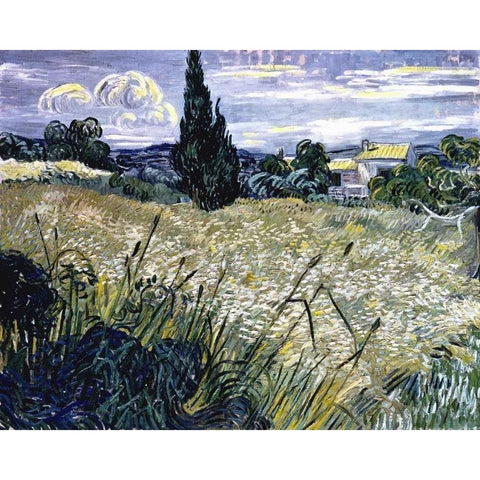 Landscape with Green Corn Black Modern Wood Framed Art Print with Double Matting by Van Gogh, Vincent