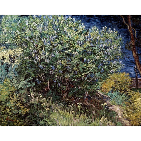 Lilacs Black Modern Wood Framed Art Print with Double Matting by Van Gogh, Vincent