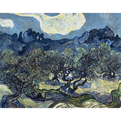 Olive Trees With The Alpilles In The Background,Saint-Remy Black Modern Wood Framed Art Print with Double Matting by Van Gogh, Vincent