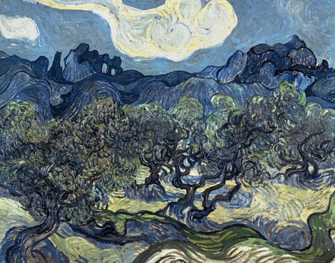 Olive Trees With The Alpilles In The Background,Saint-Remy White Modern Wood Framed Art Print with Double Matting by Van Gogh, Vincent