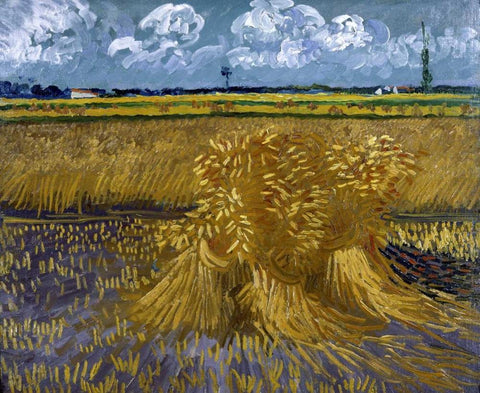 Wheat Field with Sheaves White Modern Wood Framed Art Print with Double Matting by Van Gogh, Vincent