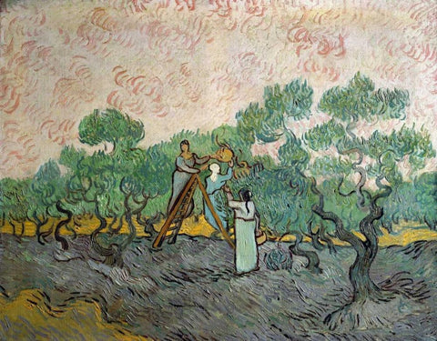 Women Picking Olives Black Ornate Wood Framed Art Print with Double Matting by Van Gogh, Vincent