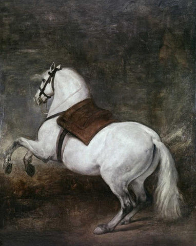 A White Horse White Modern Wood Framed Art Print with Double Matting by Velazquez, Diego