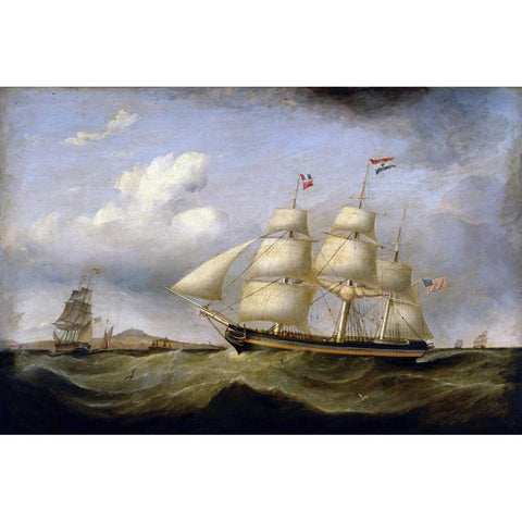 Hark Away White Modern Wood Framed Art Print by Walters, Samuel