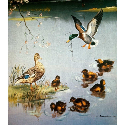Mallards Gold Ornate Wood Framed Art Print with Double Matting by Ward, Edward Matthew