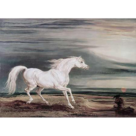 Marengo Barb Charger Black Modern Wood Framed Art Print by Ward, James
