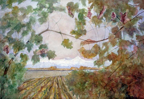 Amongst the Vineyards Black Ornate Wood Framed Art Print with Double Matting by Audivert, Eduardo
