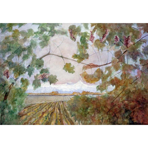 Amongst the Vineyards Black Modern Wood Framed Art Print by Audivert, Eduardo