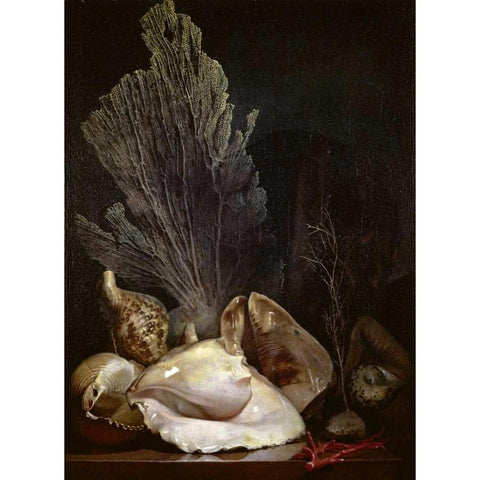 Coquillages et Madreposes Gold Ornate Wood Framed Art Print with Double Matting by Berjon, Antoine