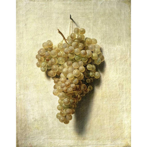 White Grapes - Raisons Blancs White Modern Wood Framed Art Print by Boilly, Louis Leopold