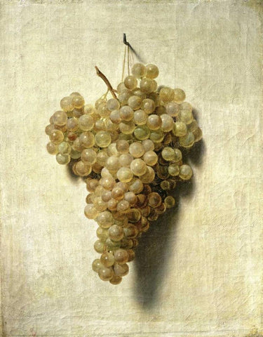 White Grapes - Raisons Blancs Black Ornate Wood Framed Art Print with Double Matting by Boilly, Louis Leopold