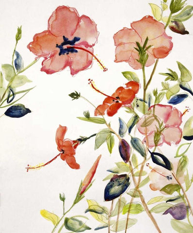 Hibiscus Flowerpiece White Modern Wood Framed Art Print with Double Matting by Calne, Sir Roy