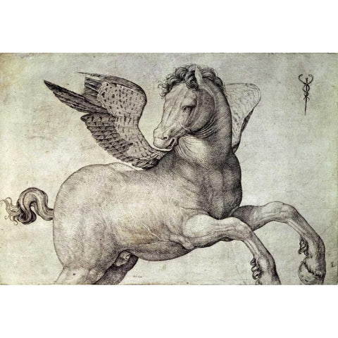 Pegasus Black Modern Wood Framed Art Print with Double Matting by De Barbari, Jacopo