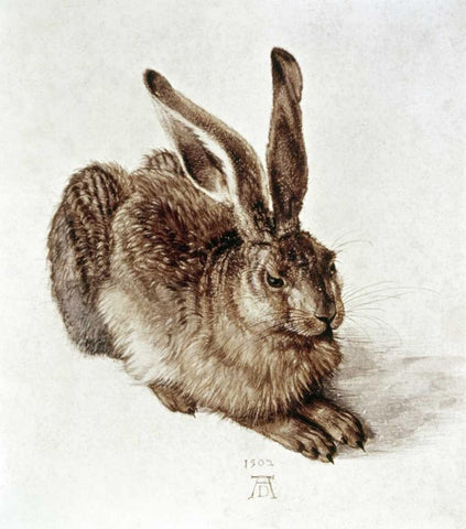 The Young Hare White Modern Wood Framed Art Print with Double Matting by Durer, Albrecht