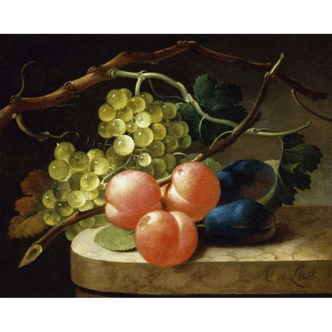 Grapes on a Vine, Peaches and Plums on a Ledge Gold Ornate Wood Framed Art Print with Double Matting by Follwer of Antoni de Lust