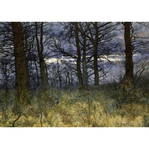 The Woods at Dusk Gold Ornate Wood Framed Art Print with Double Matting by Garden, William Fraser