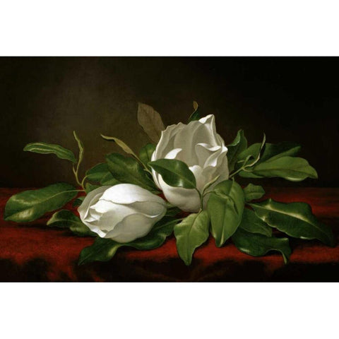 Magnolia Black Modern Wood Framed Art Print by Heade, Martin Johnson