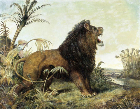 A Lion in a Jungle White Modern Wood Framed Art Print with Double Matting by Huggins, William