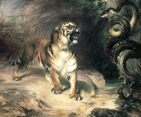 Tiger Confronting a Snake by a Stream Black Ornate Wood Framed Art Print with Double Matting by Huggins, William