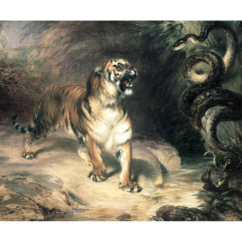 Tiger Confronting a Snake by a Stream White Modern Wood Framed Art Print by Huggins, William