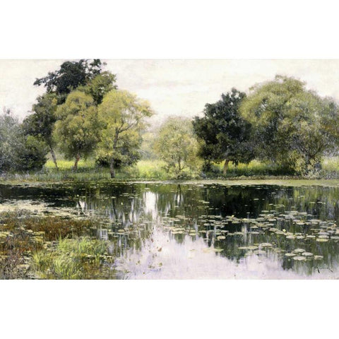 Water Lilies on a Pond Black Modern Wood Framed Art Print with Double Matting by Levitan, Isaak