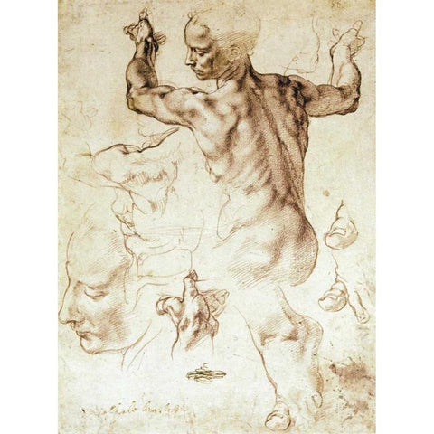 Anatomy Sketches - Libyan Sibyl Gold Ornate Wood Framed Art Print with Double Matting by Michelangelo