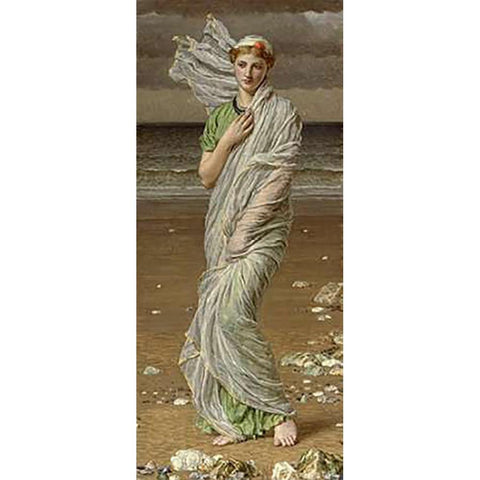 Sea Shells White Modern Wood Framed Art Print by Moore, Albert Joseph