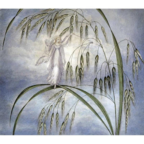 A Fairy Waving Her Wand Standing Among Blades of Grass Black Modern Wood Framed Art Print with Double Matting by Murray, Amelia Jane