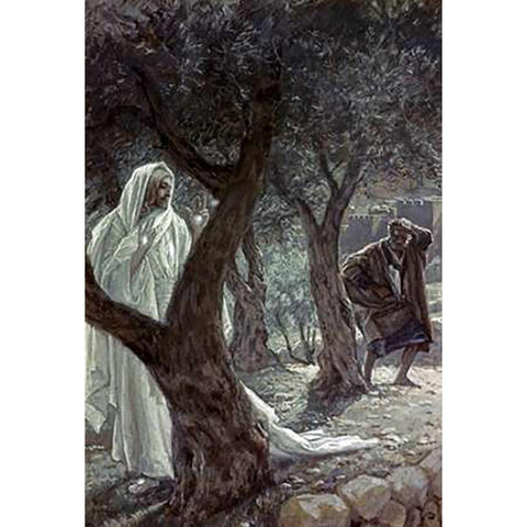 Museumist Appearing to Peter White Modern Wood Framed Art Print by Tissot, James