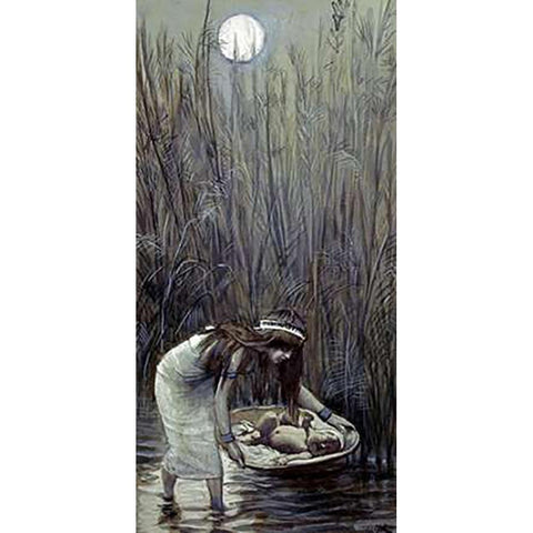 Moses Laid Amid the Flags White Modern Wood Framed Art Print by Tissot, James