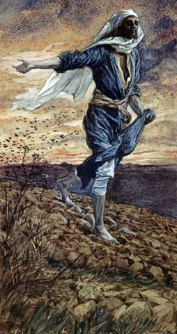 The Parable of the Sower White Modern Wood Framed Art Print with Double Matting by Tissot, James Jacques
