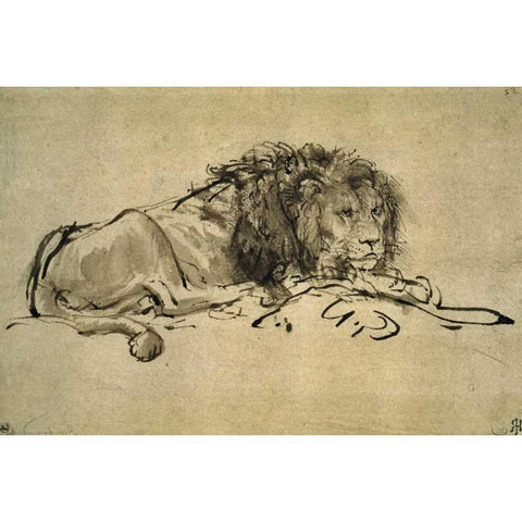 Lion Black Modern Wood Framed Art Print with Double Matting by Van Rijn, Rembrandt