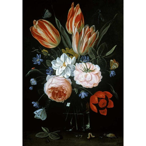 Tulips and Roses In A Glass Vase White Modern Wood Framed Art Print by Van Kessel, Jan