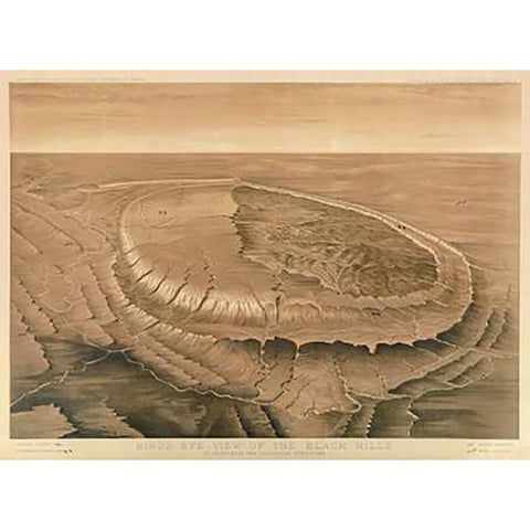 Birds eye view of the Black Hills, 1879 Gold Ornate Wood Framed Art Print with Double Matting by Newton, Henry