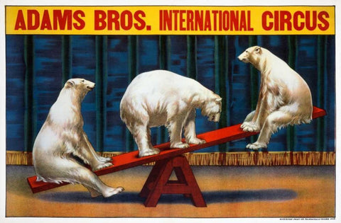 Adams Bros. Circus White Modern Wood Framed Art Print with Double Matting by Unknown