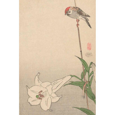 Small bird on lily plant., 1893 Black Modern Wood Framed Art Print by Baison