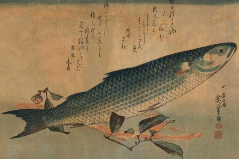 Striped mullet, 1834 White Modern Wood Framed Art Print with Double Matting by Hiroshige, Ando