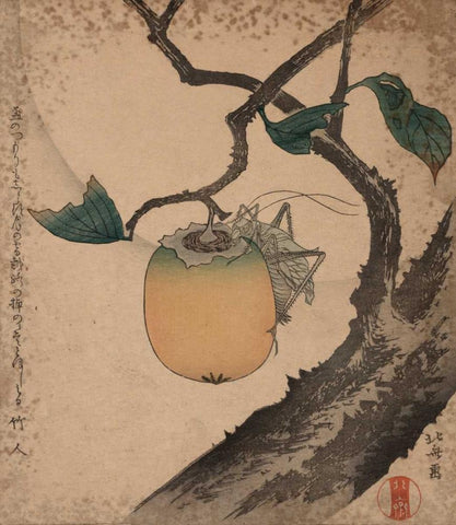 Grasshopper eating persimmon, 1850 Black Ornate Wood Framed Art Print with Double Matting by Hokusai