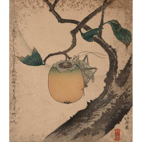 Grasshopper eating persimmon, 1850 Gold Ornate Wood Framed Art Print with Double Matting by Hokusai