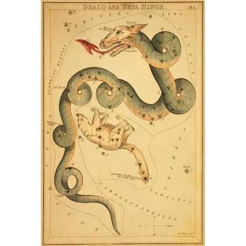 Draco and Ursa Minor, 1825 Gold Ornate Wood Framed Art Print with Double Matting by Aspin, Jehoshaphat