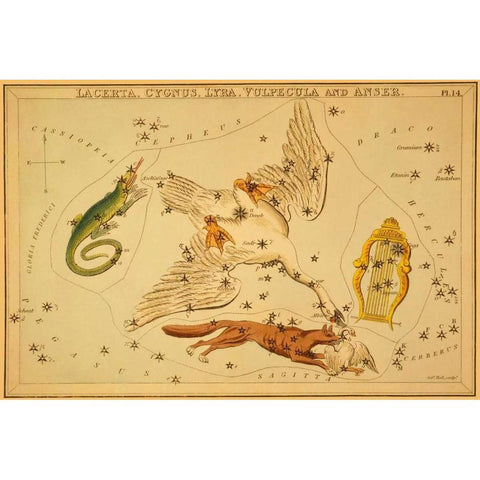 Lacerta, Cygnus, Lyra, Vulpecula and Anser, 1825 White Modern Wood Framed Art Print by Aspin, Jehoshaphat